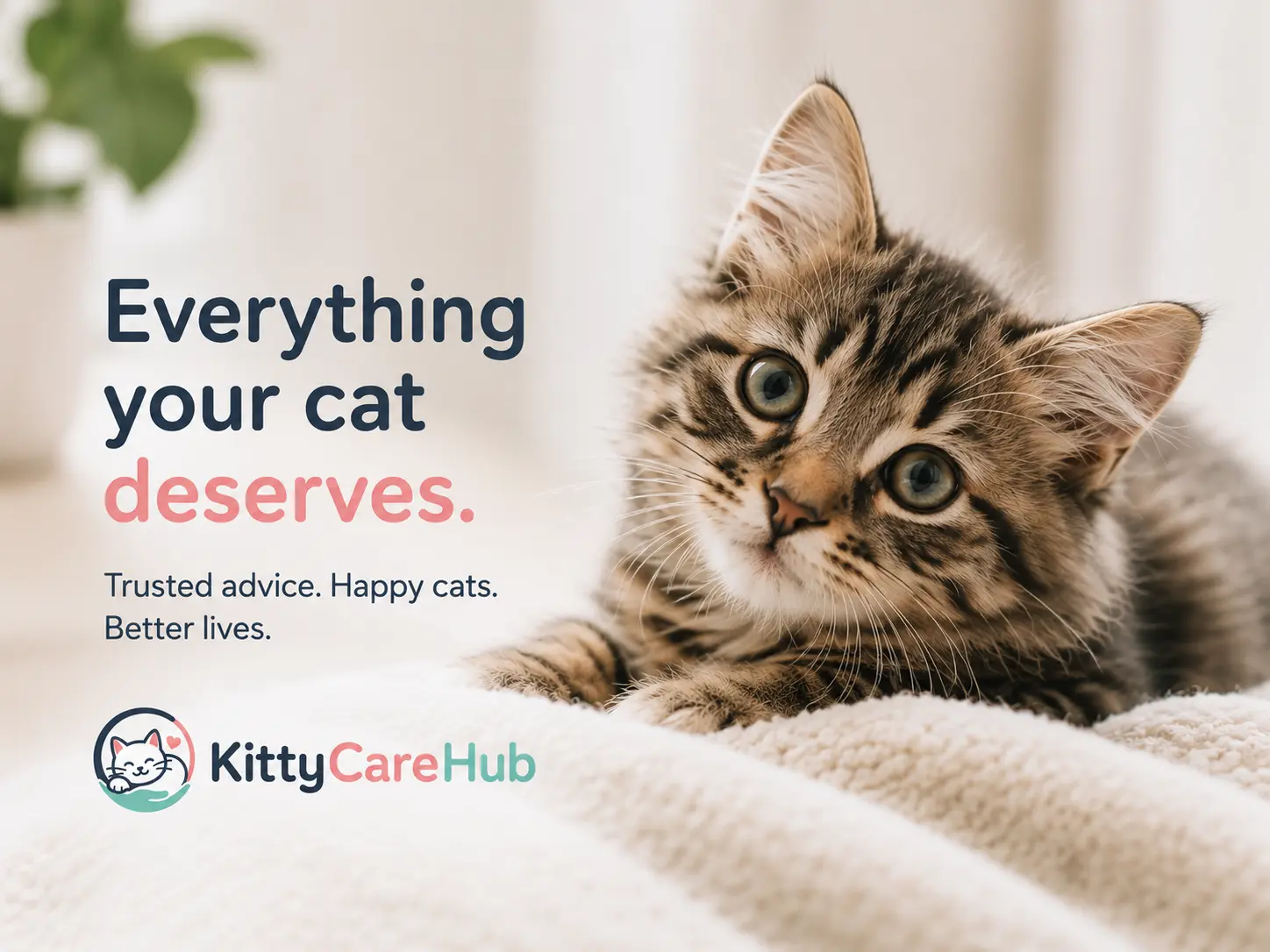 Everything your cat deserves. Trusted advice. Happy cats. Better lives.